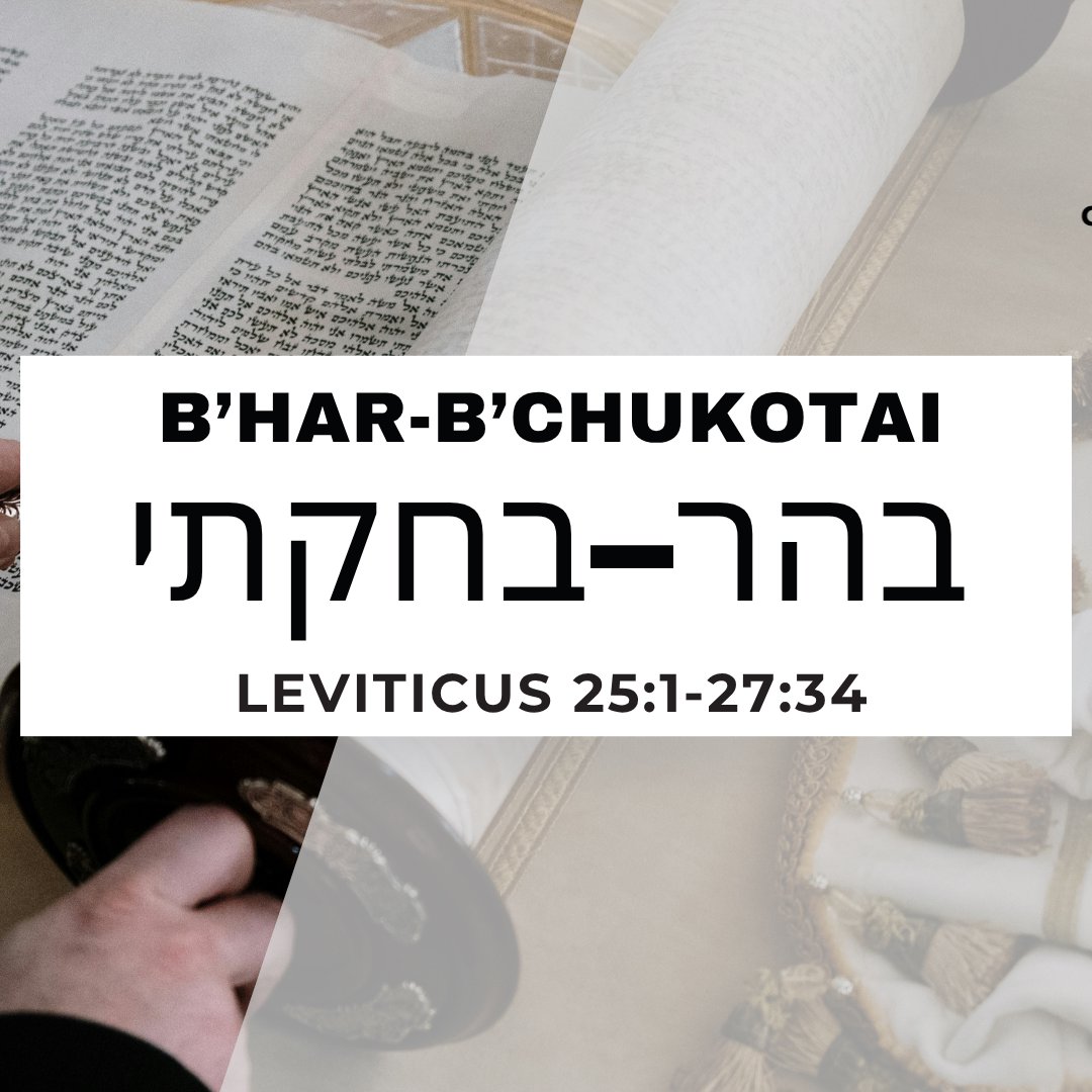 CMC Parasha Behar Bechukotai 5786 episode artwork