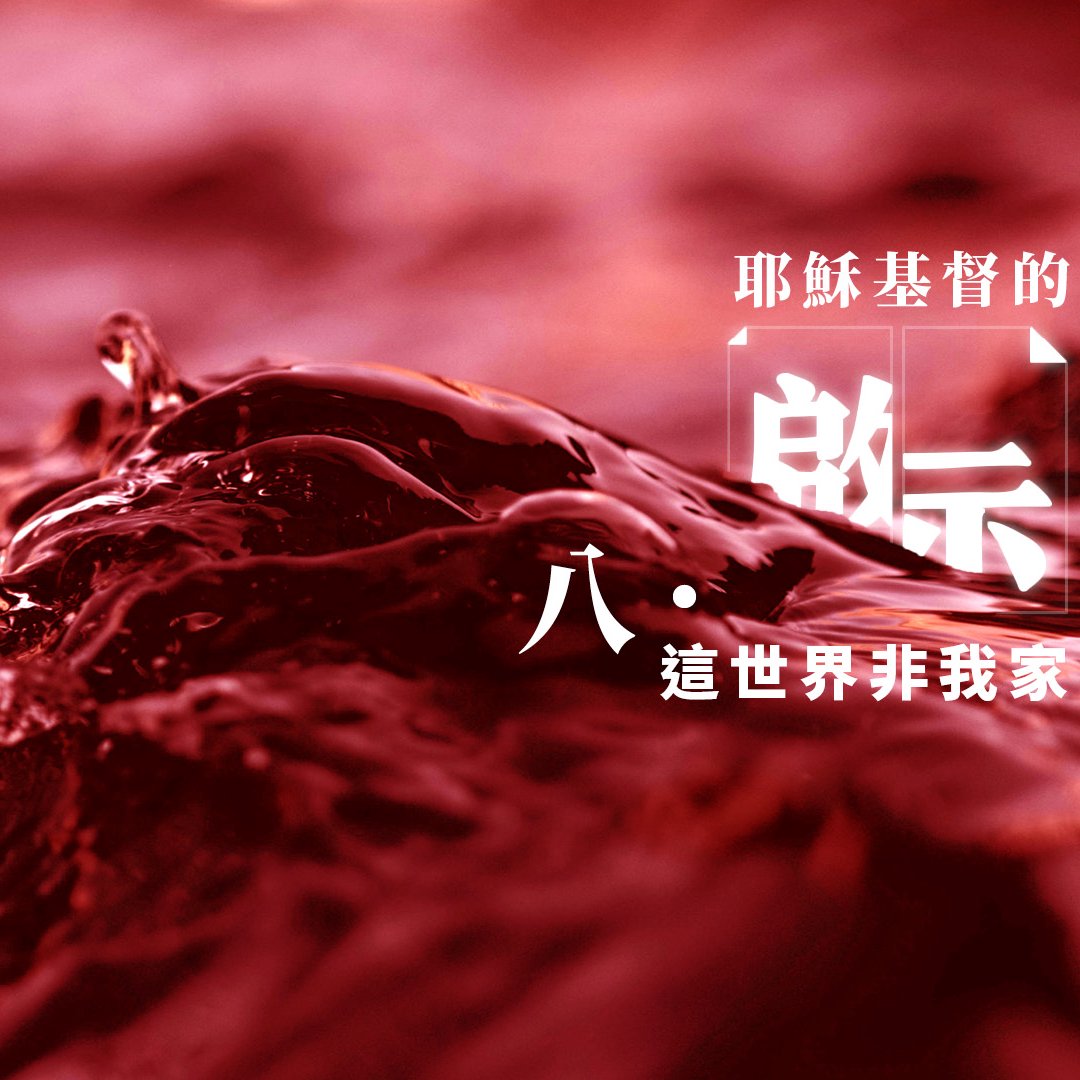 八．這世界非我家 episode artwork