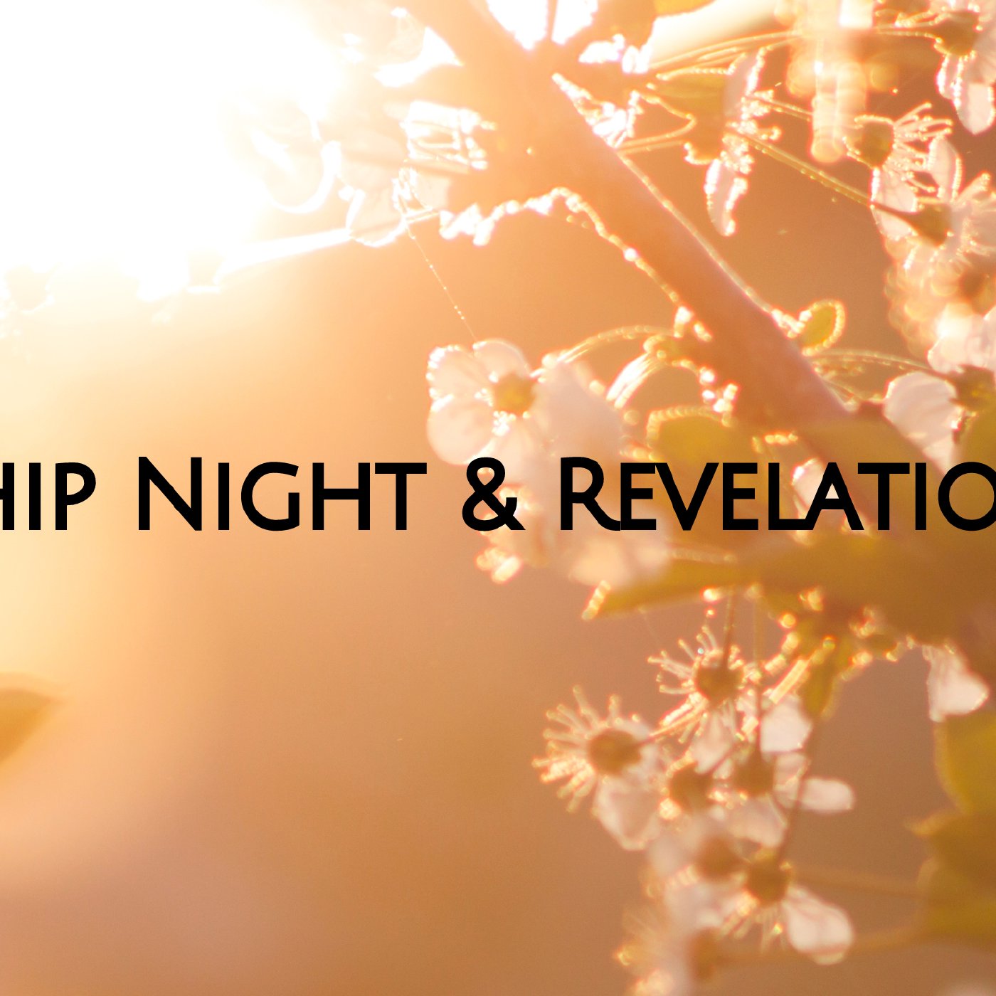 Worship Night & Revelation Q&A episode artwork