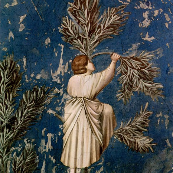 The Triumphal Entry