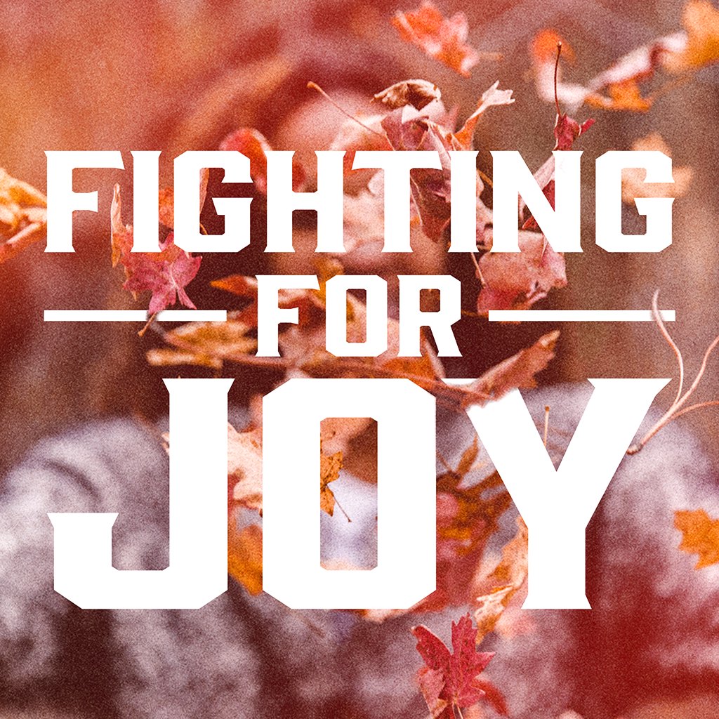 Fighting For Joy - Part 5 episode artwork