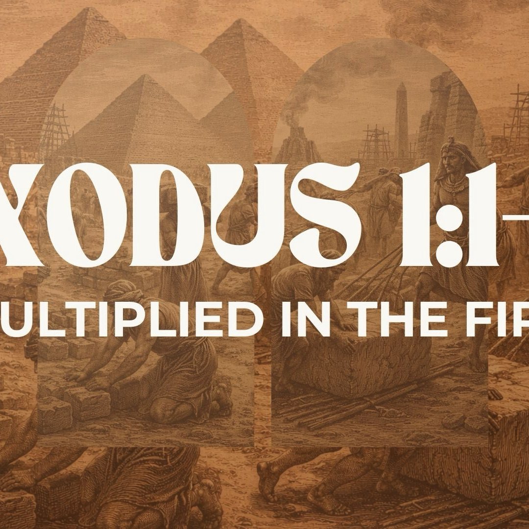 Multiplied in the Fire - Exodus 1:1-14 episode artwork