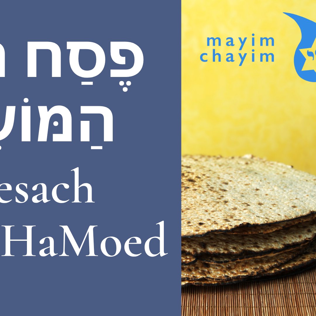 CMC Pesach Shabbat Chol HaMoed 5786 episode artwork