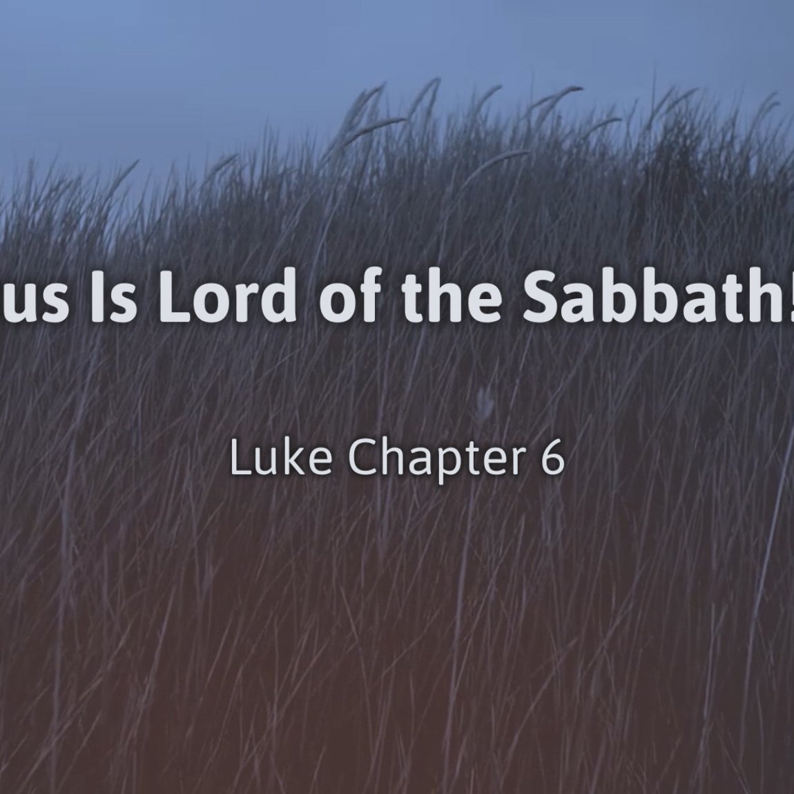 Jesus Is Lord of the Sabbath! episode artwork