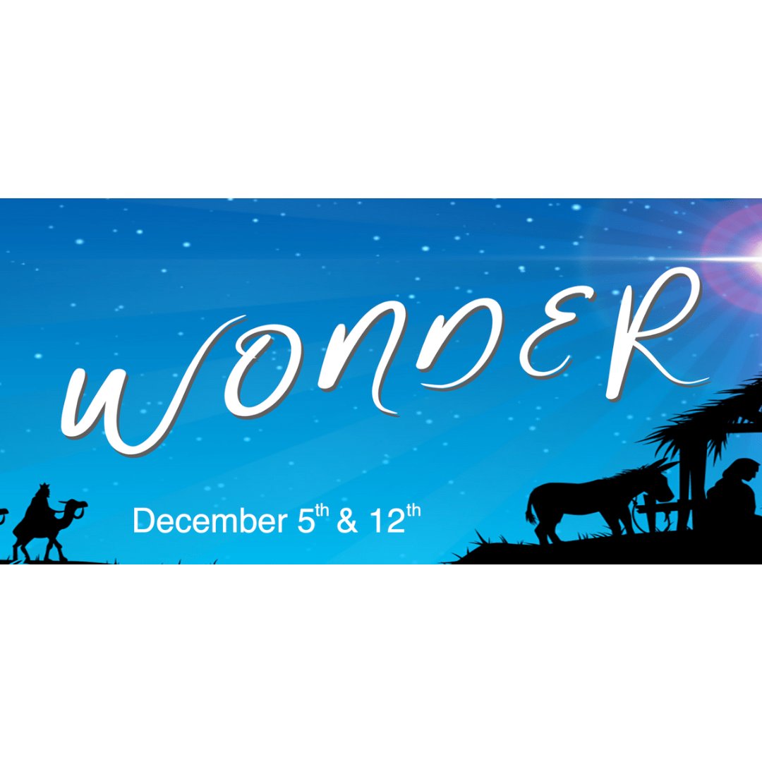 Wonder Pt. 2 (Full Live Stream) episode artwork