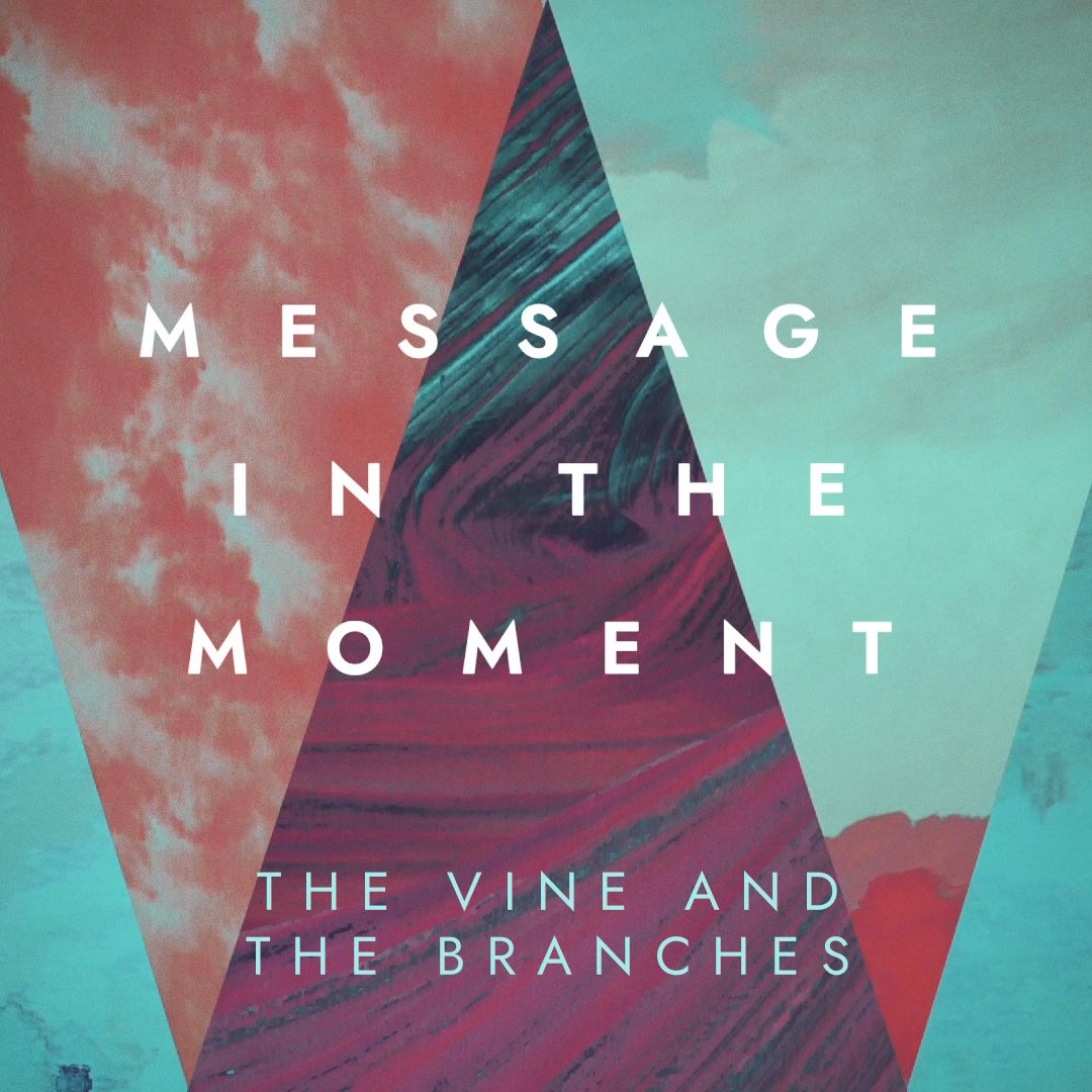 The Vine and the Branches episode artwork