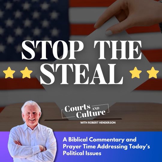STOP The Steal episode artwork