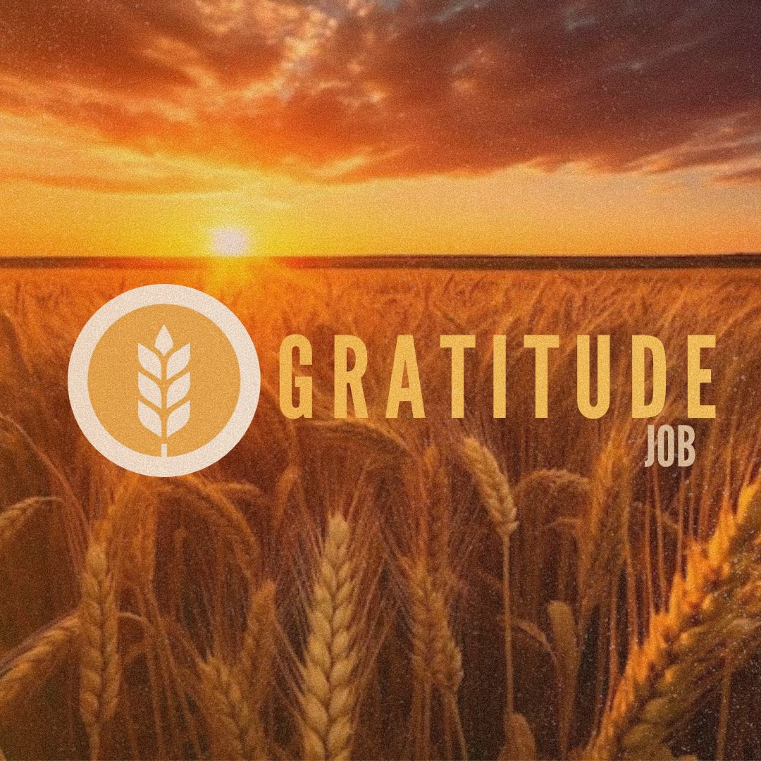 Gratitude 2 episode artwork
