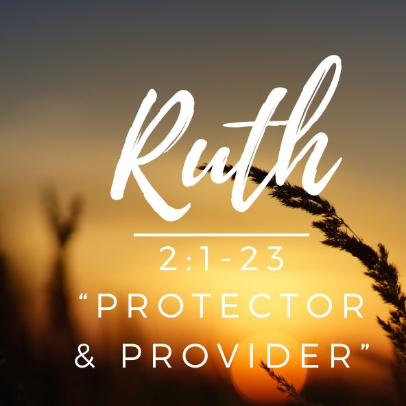 "Protector & Provider" - Ruth 2 episode artwork