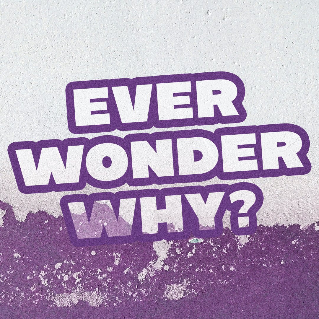Ever Wonder Why Marriage Matters? episode artwork