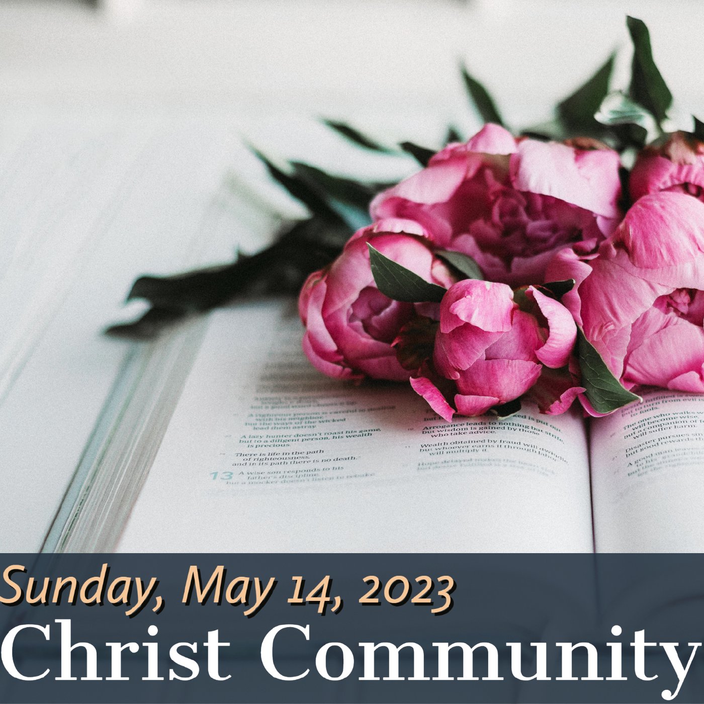 Christ Community Gainesville