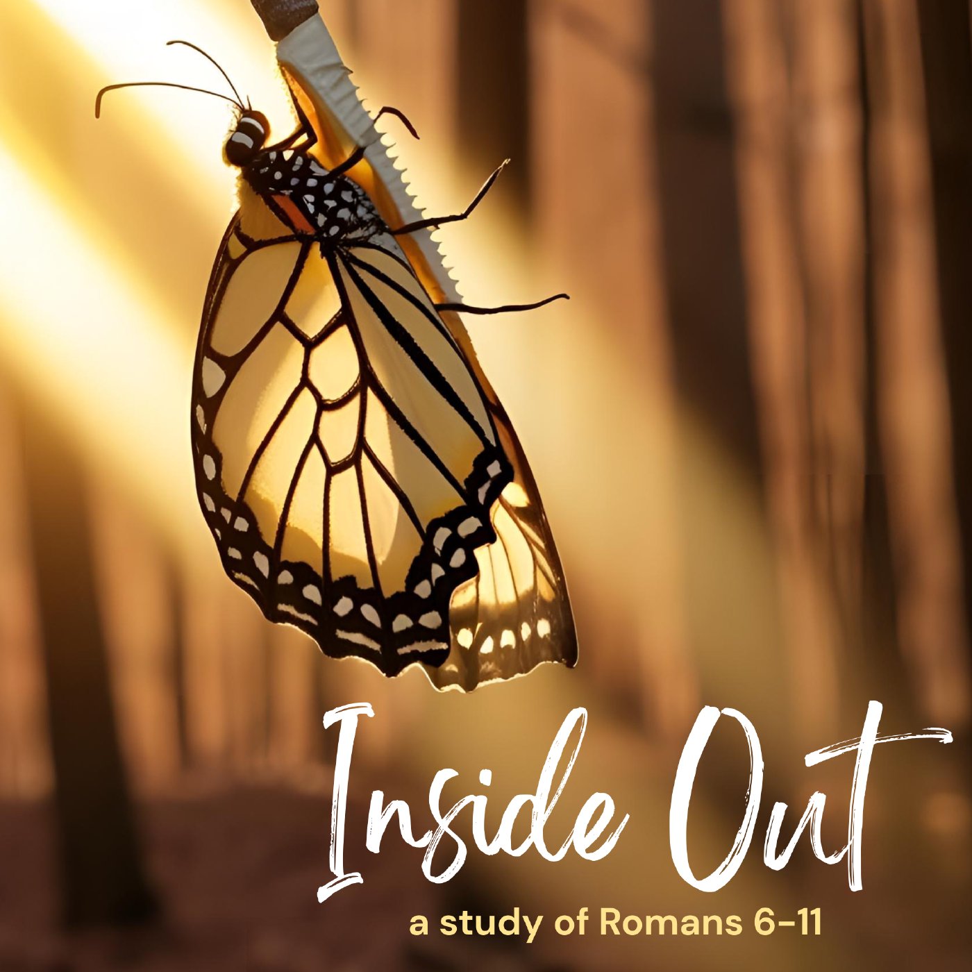 God's Plan of Salvation