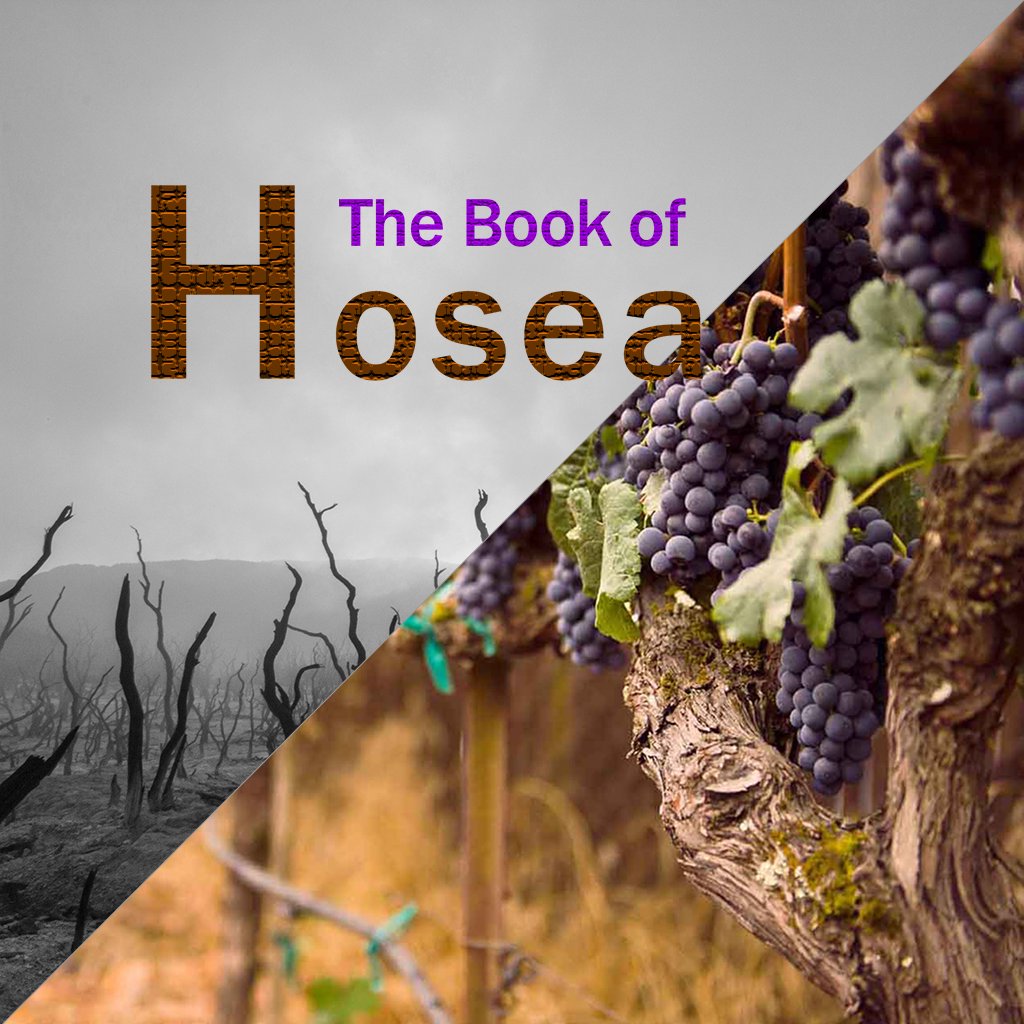 Hosea 9:1-9 episode artwork