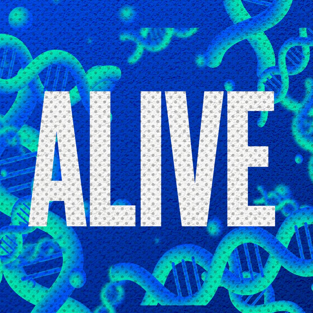 Alive - Pastor Charity Kalstrup episode artwork