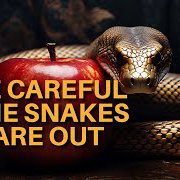 BE CAREFUL THE SNAKES ARE OUT episode artwork