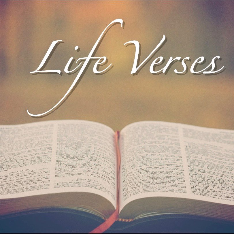 Part 6: Matthew 6:33 episode artwork