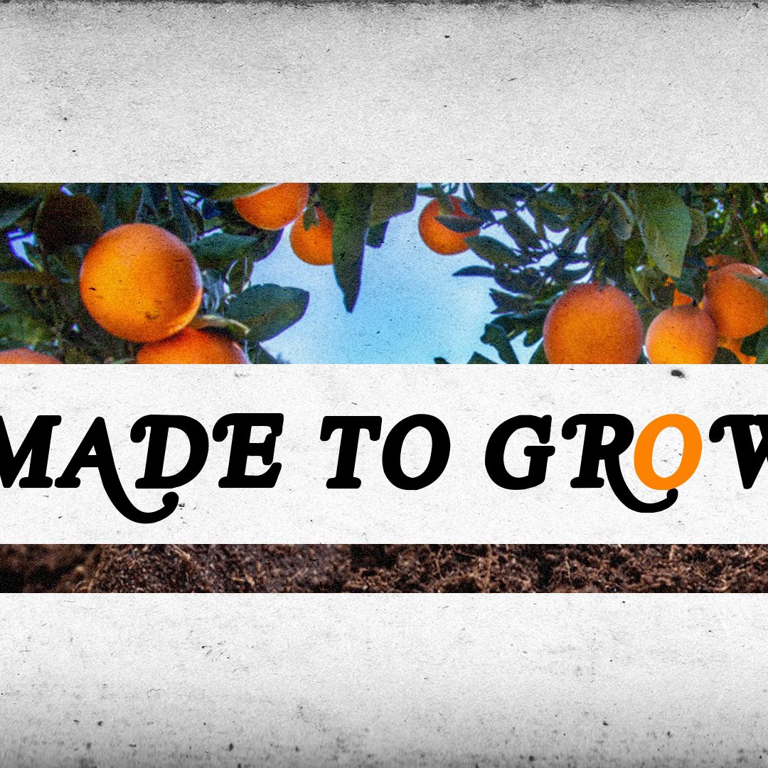 Made To Grow, Part 5  | Growing Disciple (Spiritual Adolescence) | Ben Markham