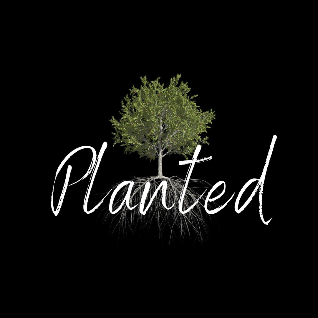 Planted Pt 5 - Rooted in Prayer episode artwork