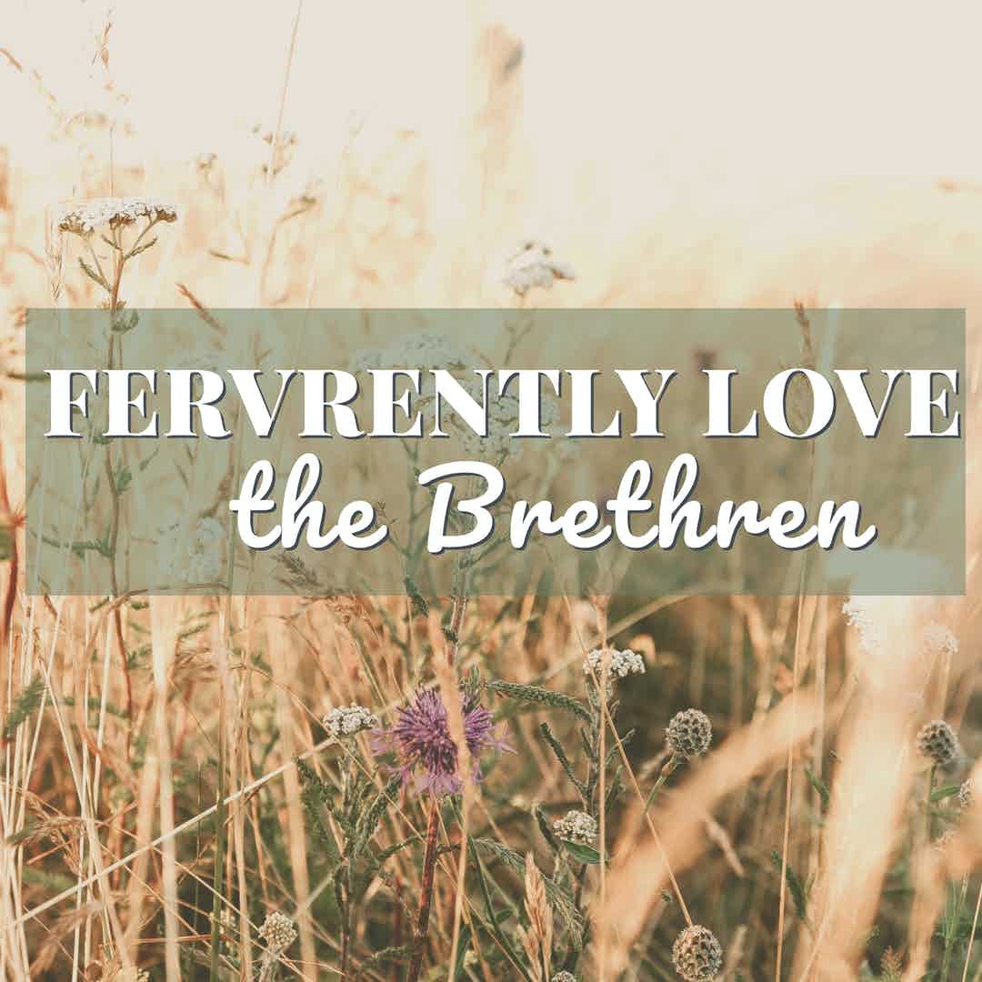 Fervently Love The Brethren