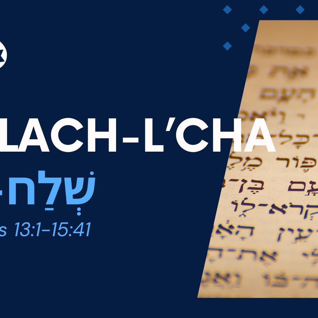 Parasha Shlach Lcha 5785 episode artwork