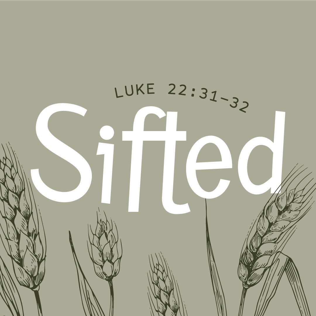 Sifted episode artwork