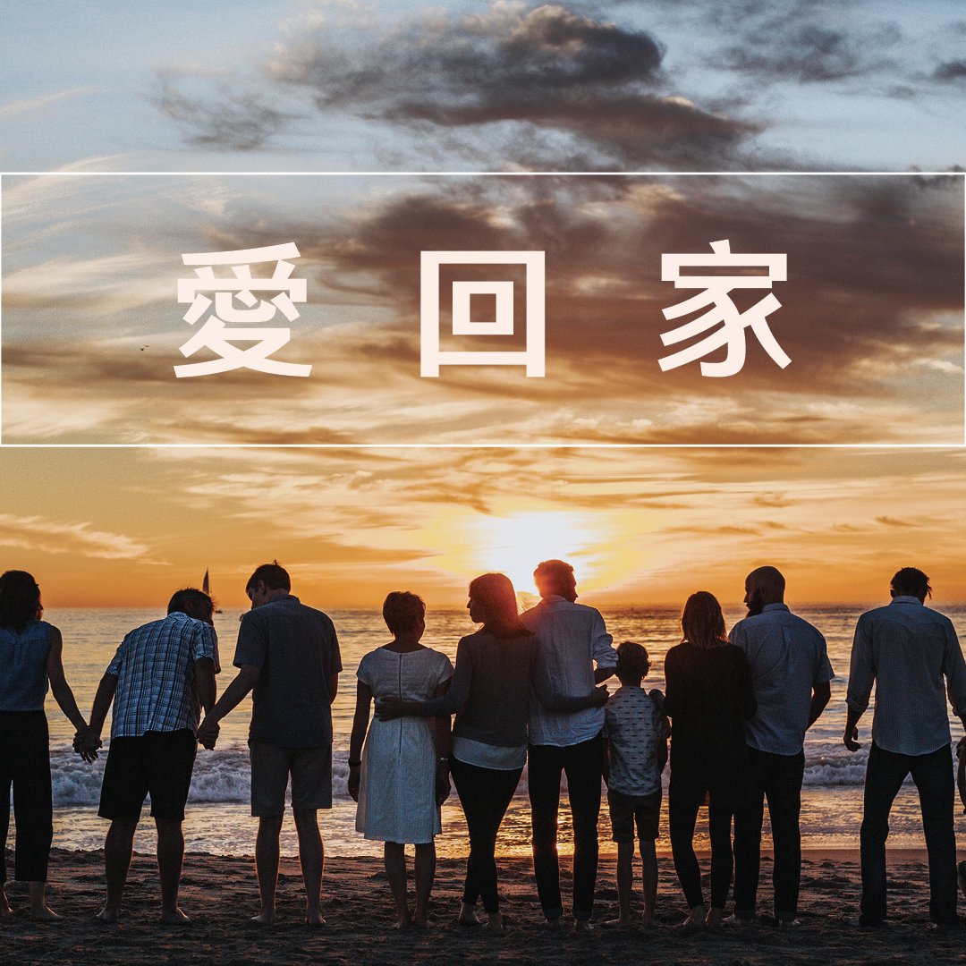 愛回家 episode artwork