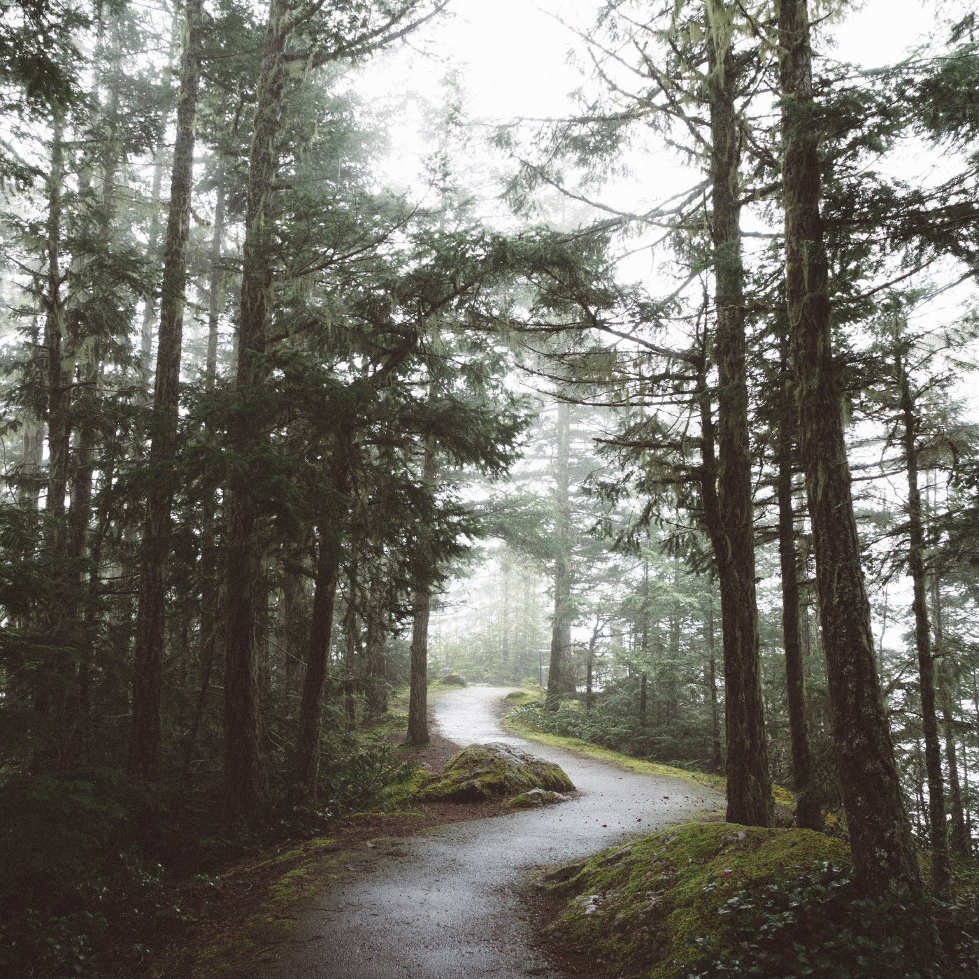 Manna Fellowship Sunday Sermons