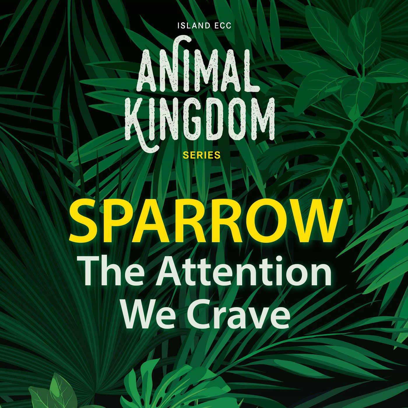 Animal Kingdom: Sparrow - The Attention We Crave episode artwork