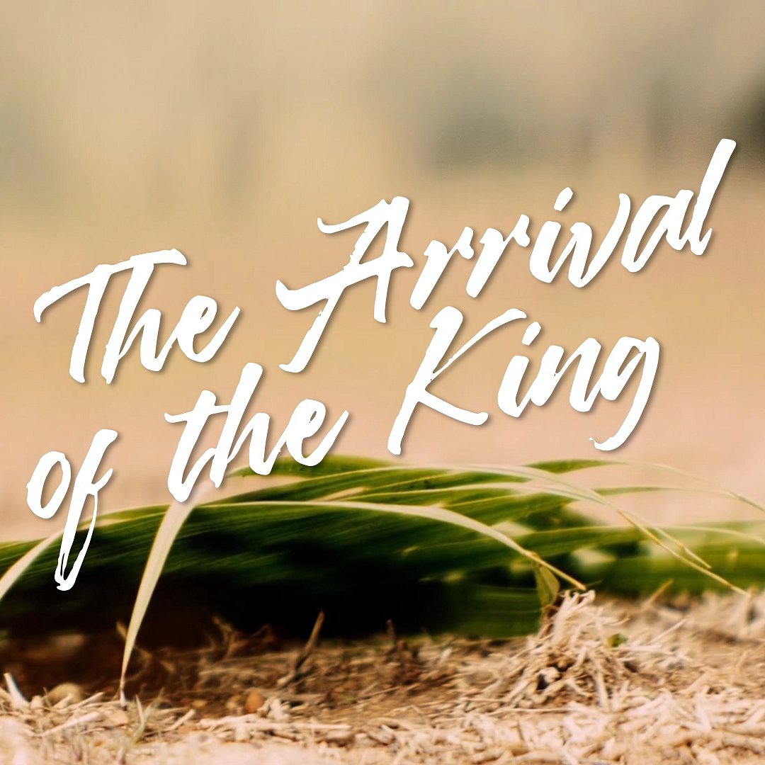 The Arrival of the King episode artwork