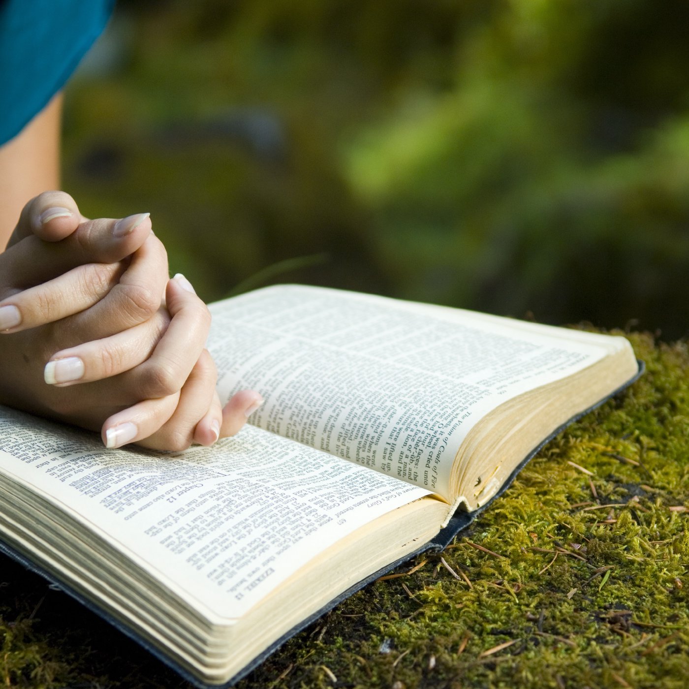 .::Predicaciones - Estudios Biblicos - Sermon::. ~