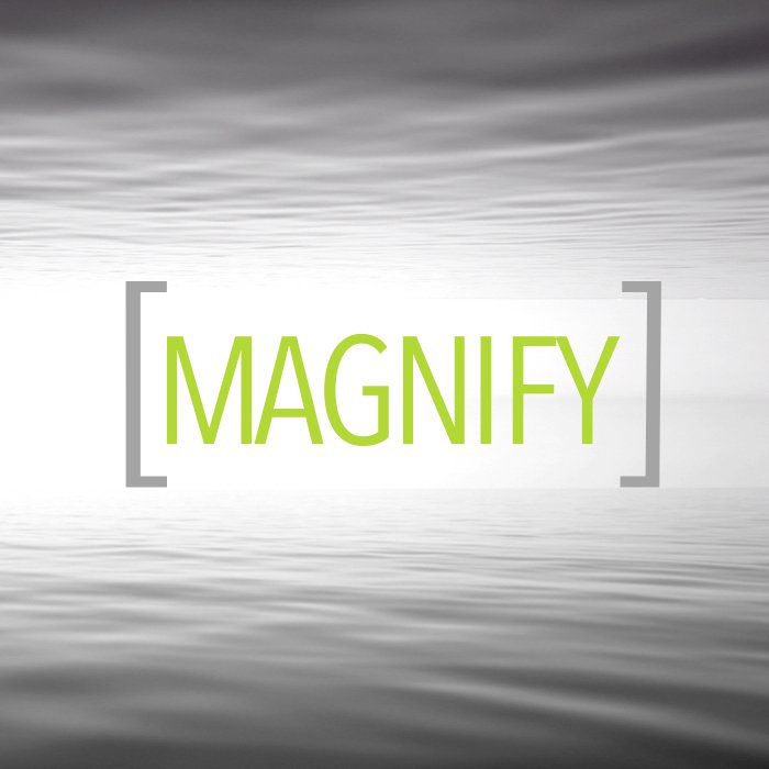 What You Magnify, You Manifest