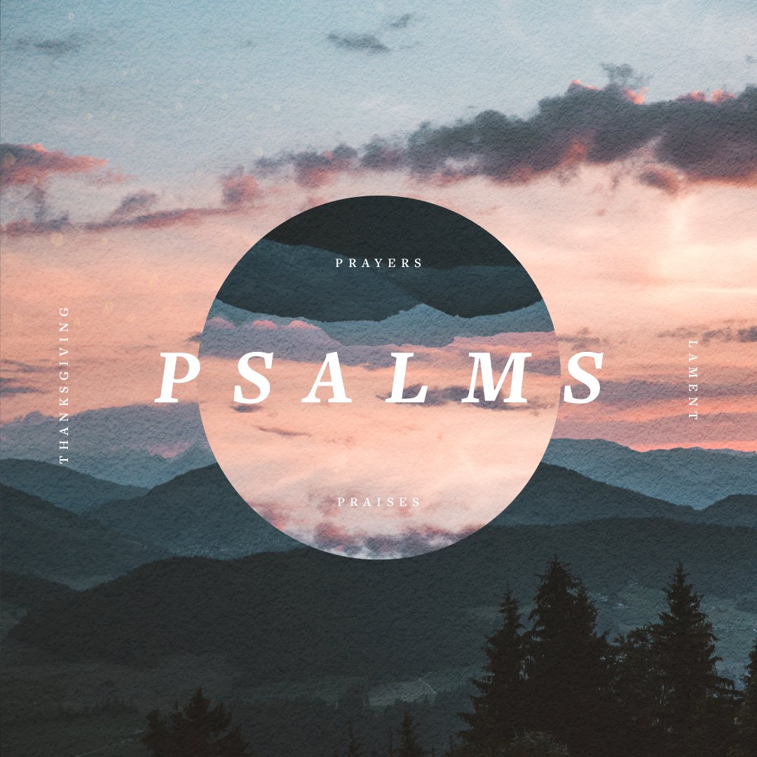Psalm 2 | The True King episode artwork