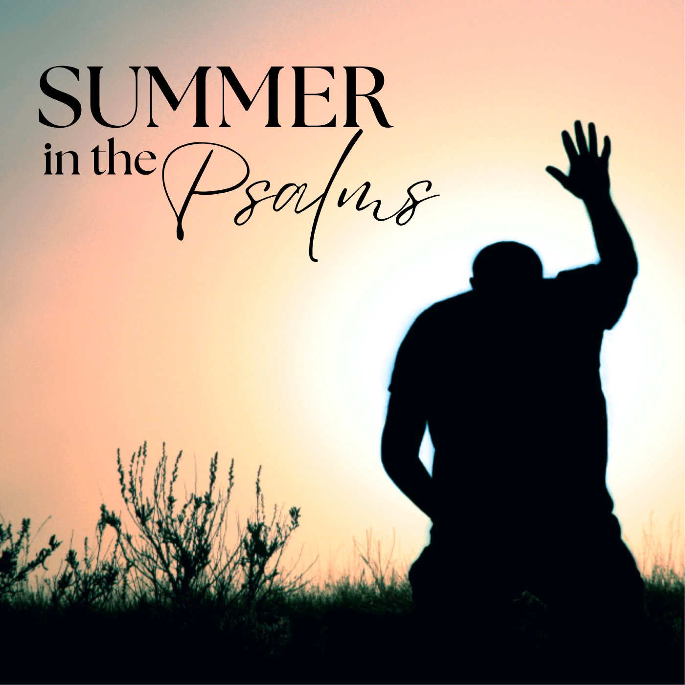 Summer in the Psalms episode artwork