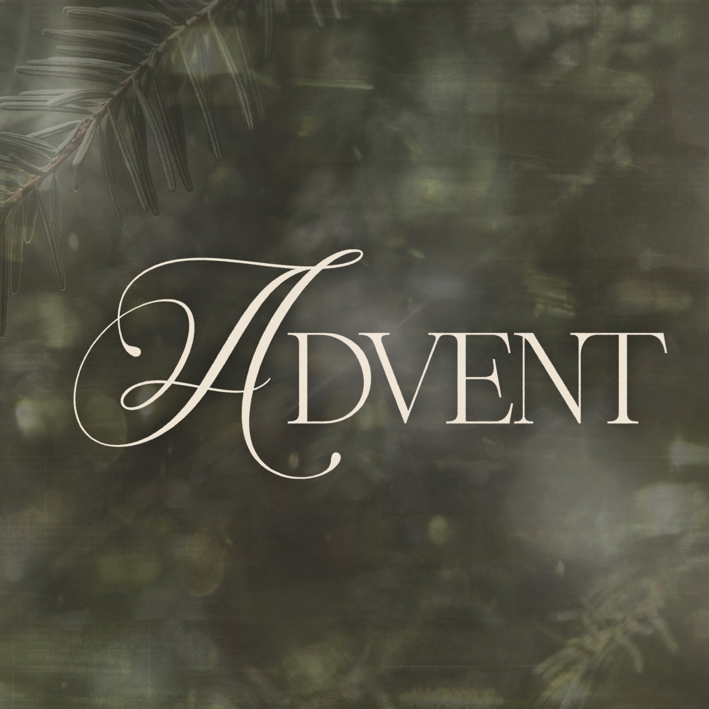 Do Not Be Afraid: Joseph | Matt Smallbone