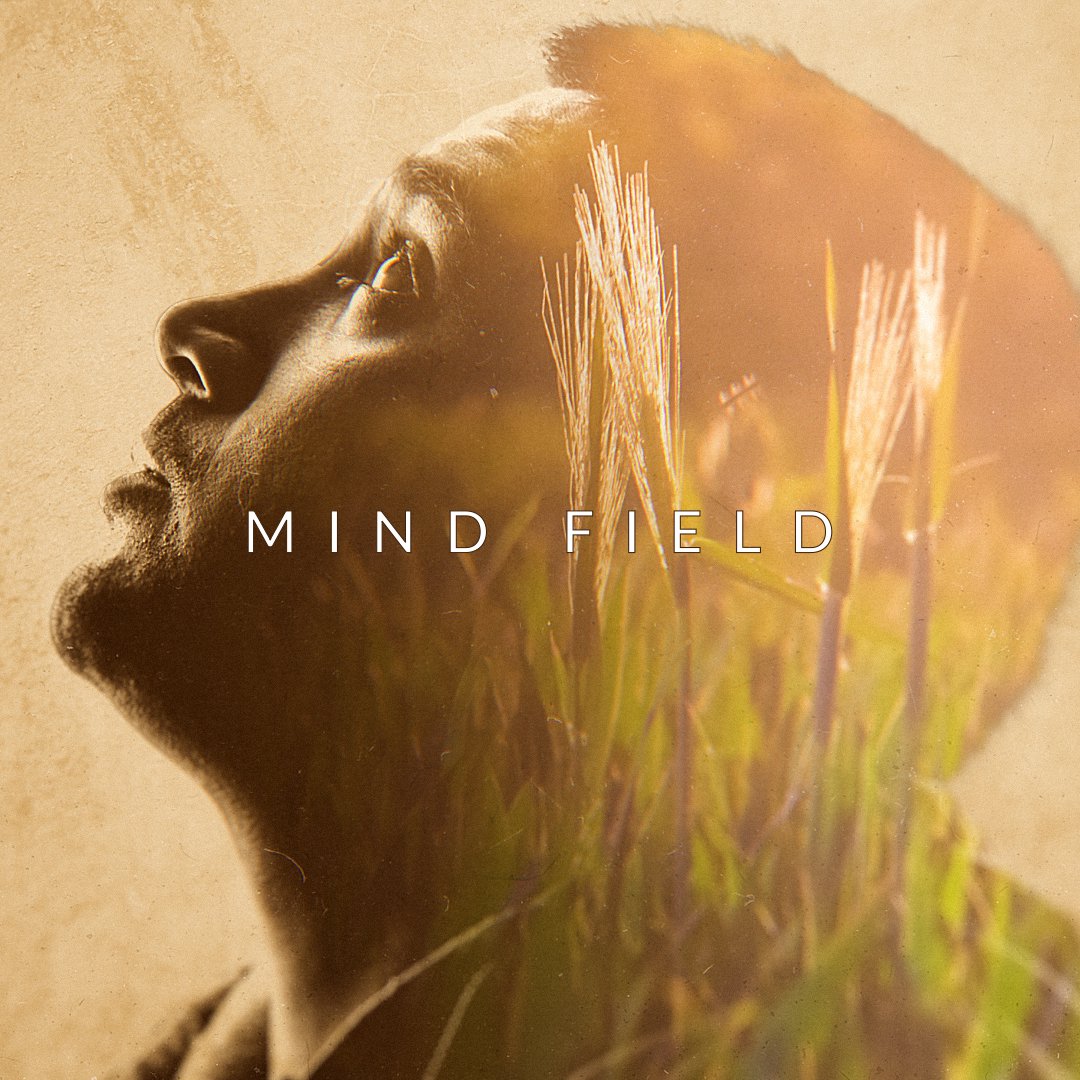 Mind Field | Part 2 | The Image Of God episode artwork