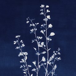 Seven Traits of a Spiritually Growing Person episode artwork