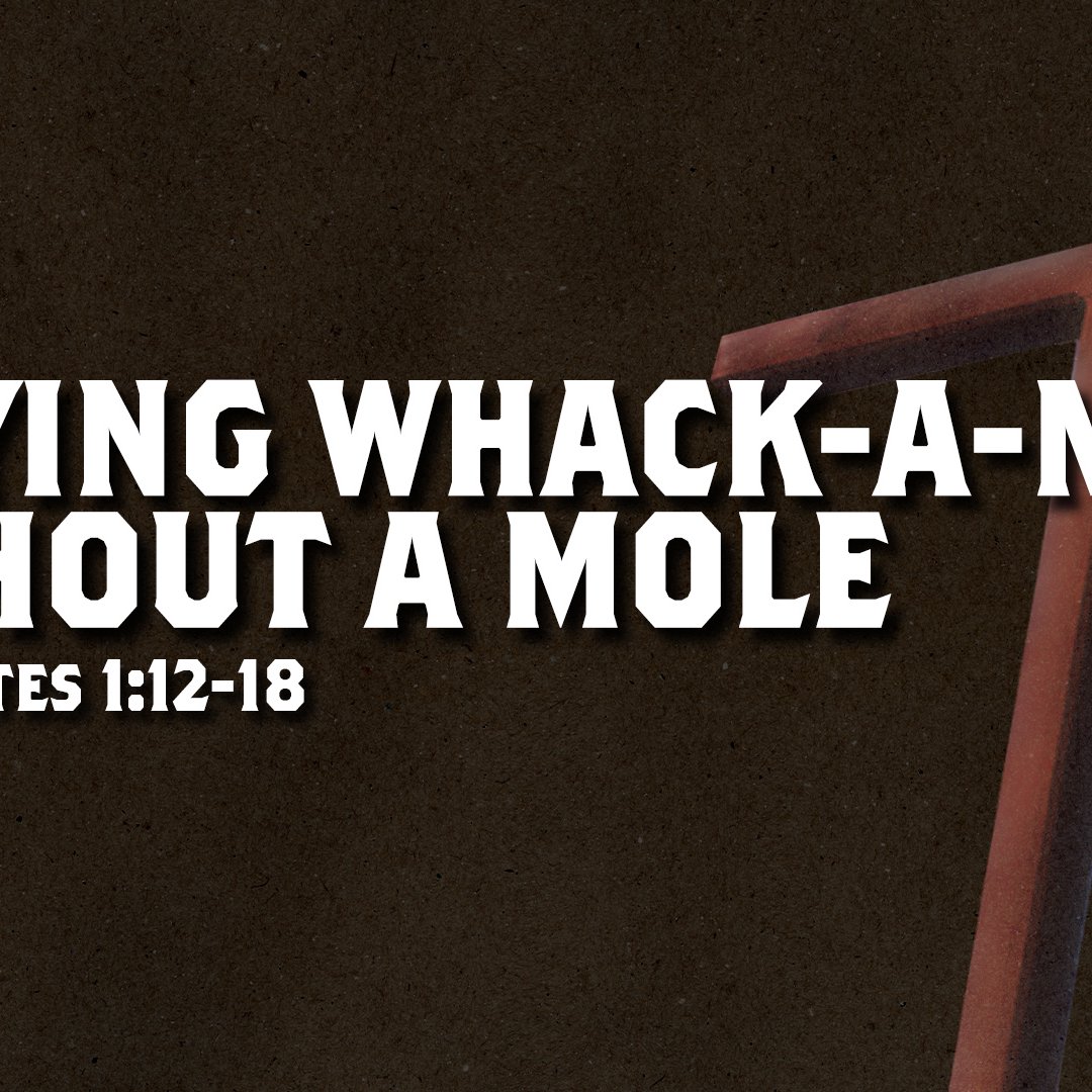 Playing Whack-A-Mole Without A Mole (Ecclesiastes 1:12-18) episode artwork