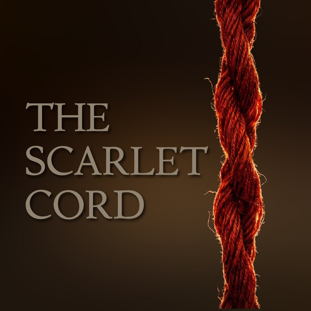 The Scarlet Cord episode artwork