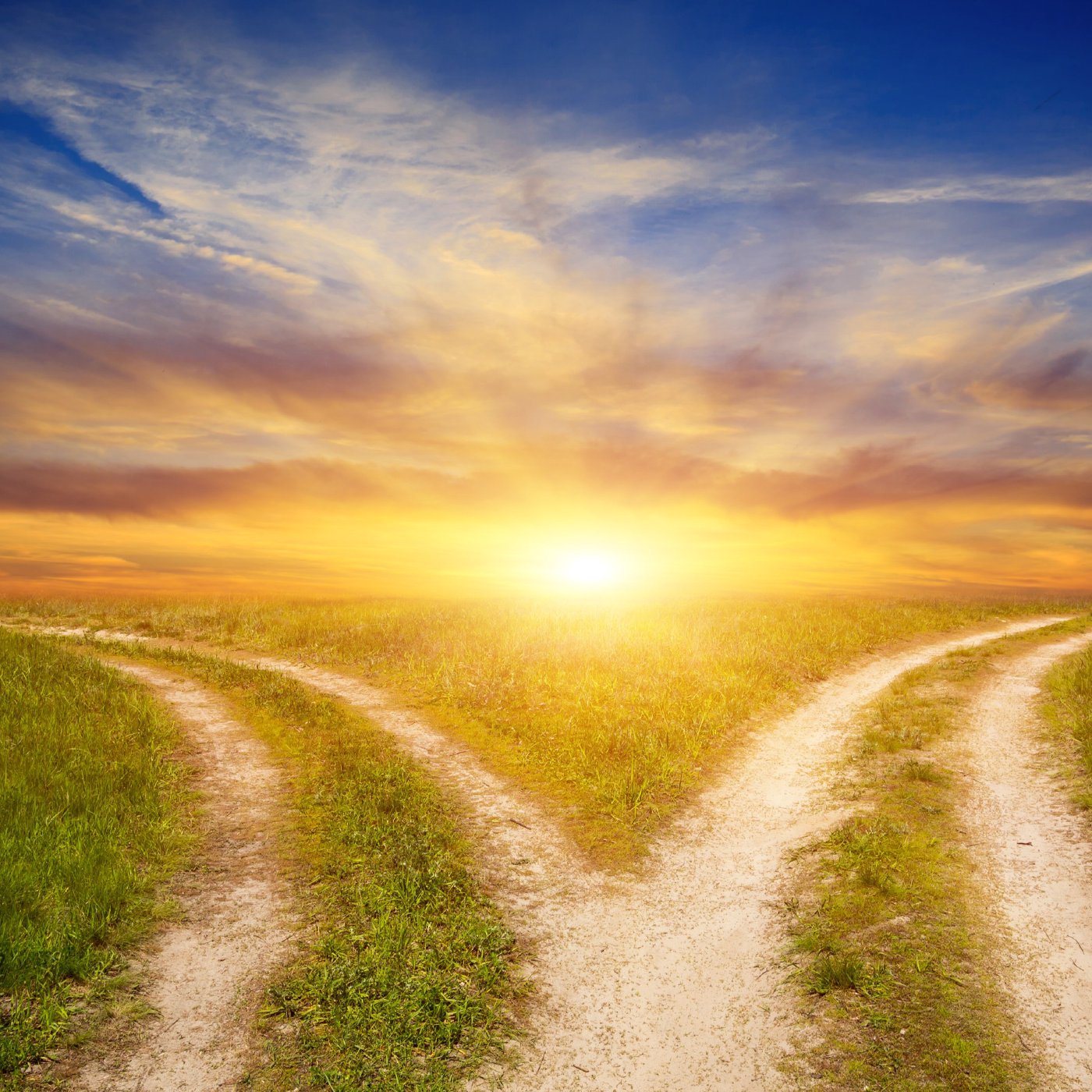 Quo Vadis - Which way? (Jim Murray) episode artwork