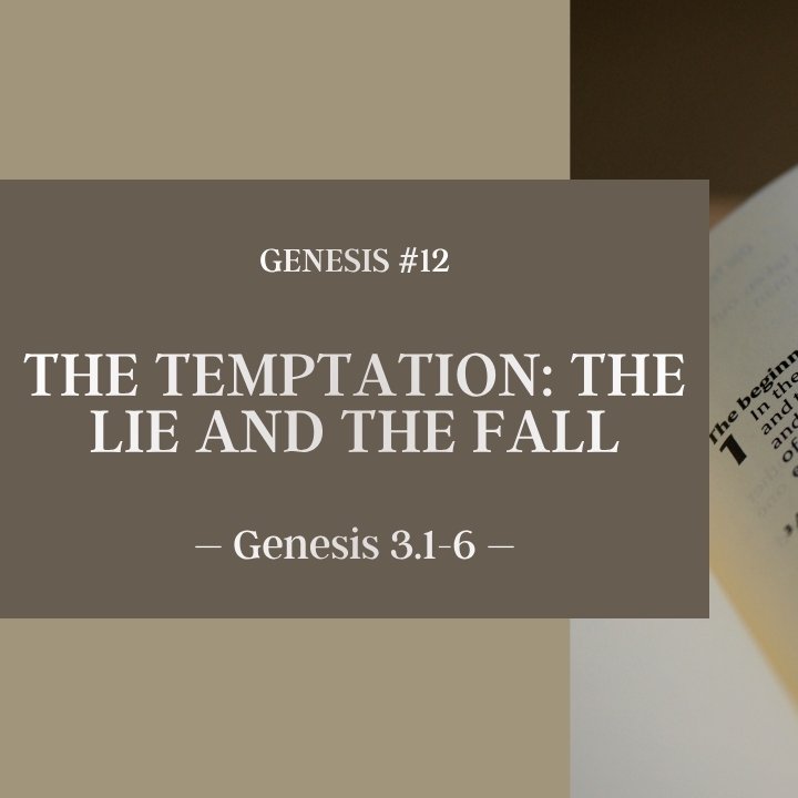 The Temptation: The Lie and the Fall | Genesis #12 episode artwork