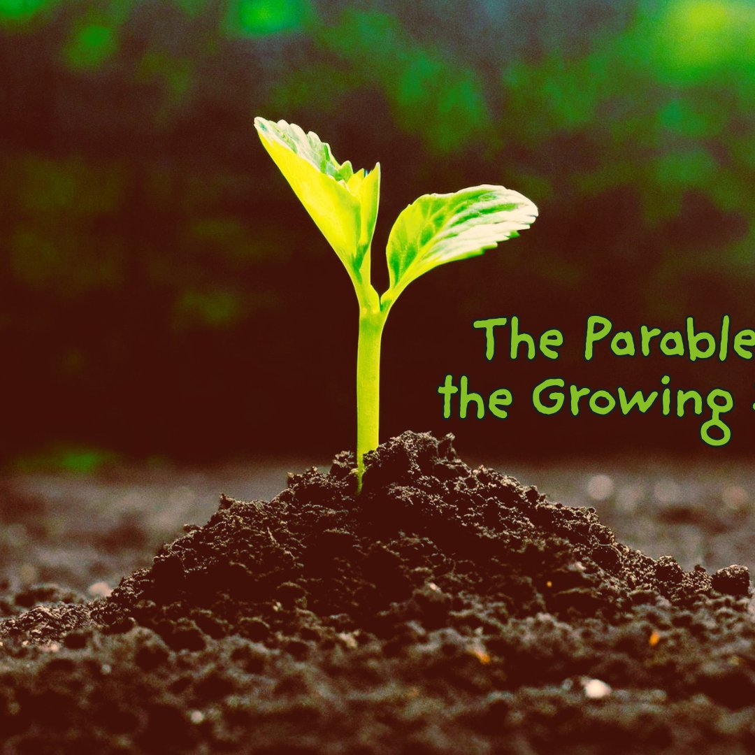 The Parable Of The Growing Seed episode artwork