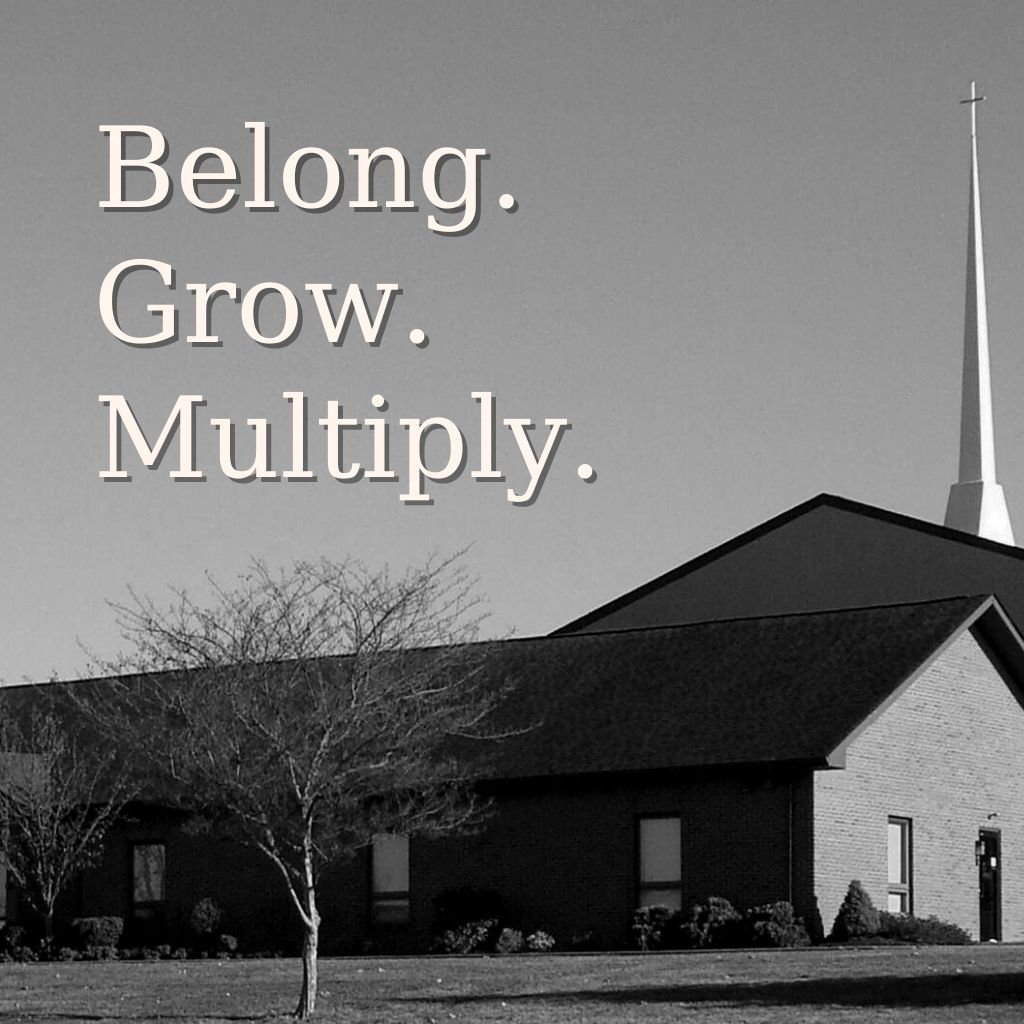 Matthew 28:16-20 - Belong. Grow. Multiply