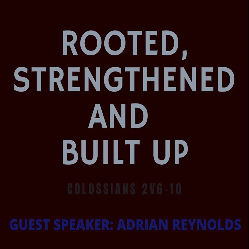 Rooted, Strengthened and Built Up
