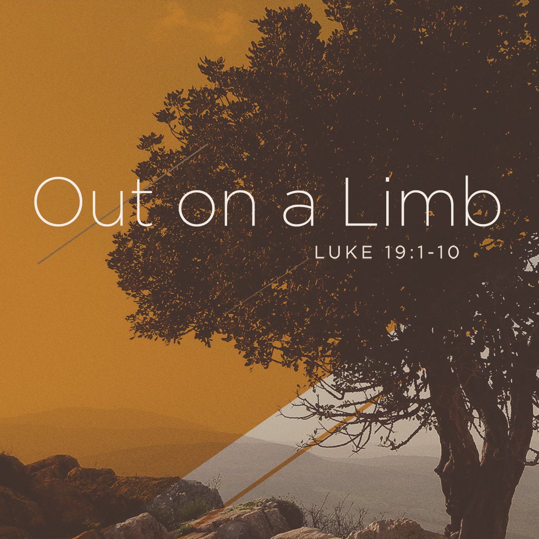Out on a Limb episode artwork