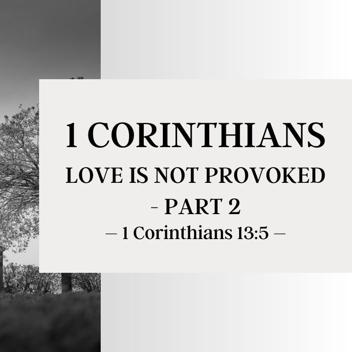 Love Is Not Provoked - Part 2 | FaithWorking Radio episode artwork