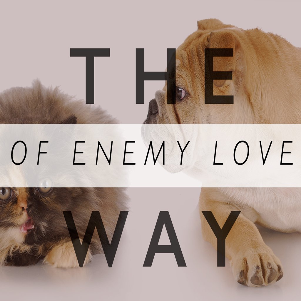 The Way Of Enemy Love episode artwork