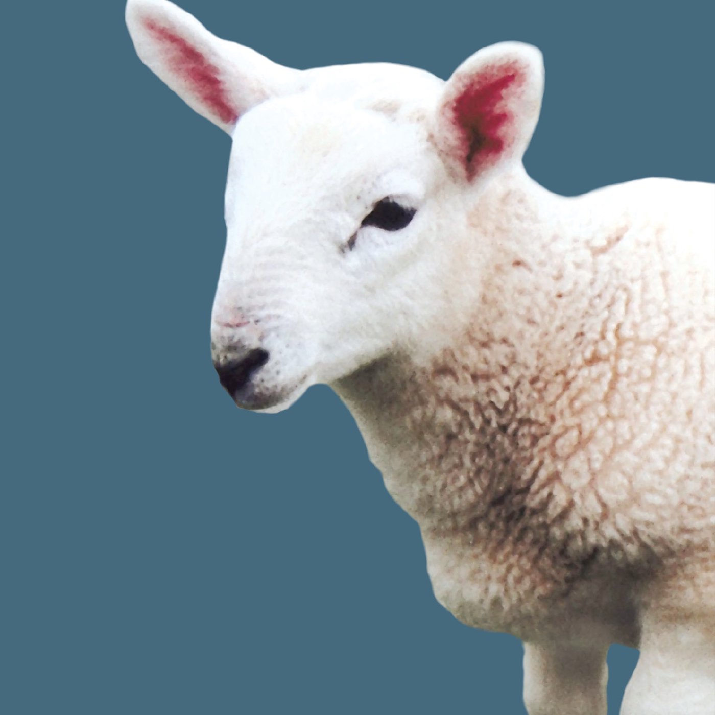 Destiny Live Messages with Pastor Keith O\'Neal