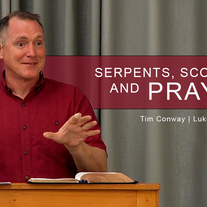 Serpents, Scorpions, and Prayer episode artwork