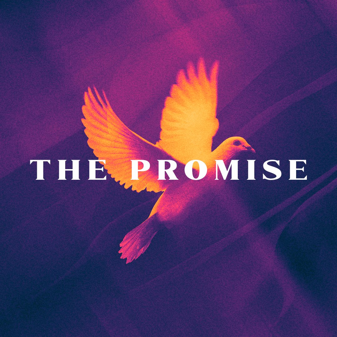 The Promise | Part 4