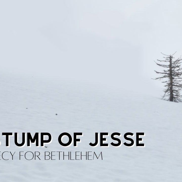 The Stump Of Jesse episode artwork
